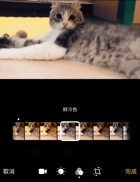 苹果手机夜间模式，苹果手机夜间模式怎么设置（iPhone抢先体验）