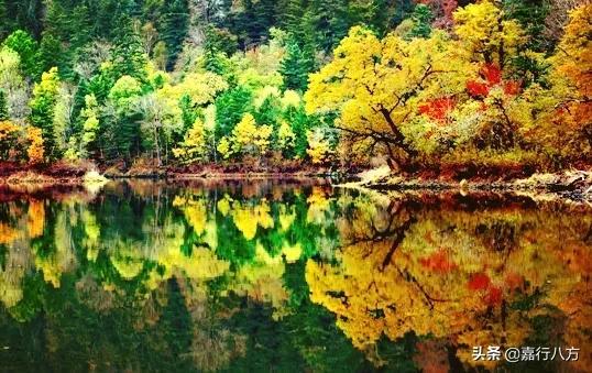 牡丹江大学官网，2021级牡丹江大学新生开学时间和入学指南及入学军训考试（牡丹江师范学院和牡丹江大学是一回事吗）