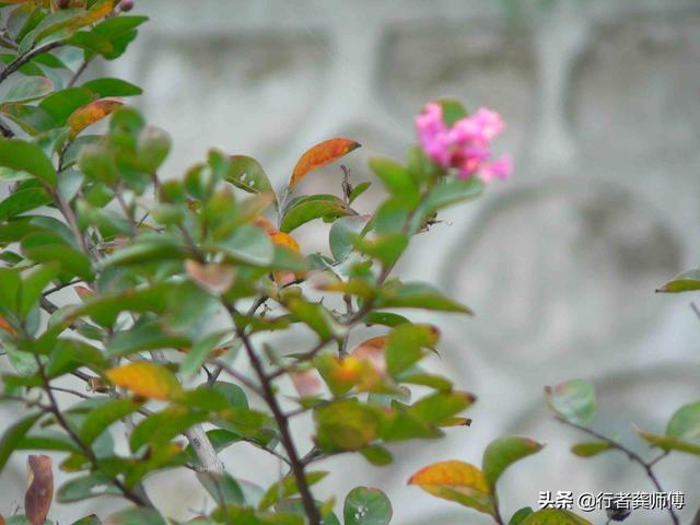 西安临潼区骊山龙背岭,骊山上看风景 西安临潼区骊山龙背岭,骊山上看风景