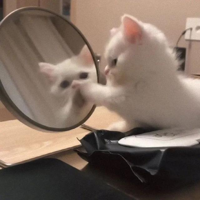 神仙ins仙女闺蜜头像，ins.仙女味闺蜜头像/如果老了怎么办，广场舞看起来好难微信（来看看好看的闺蜜头像）