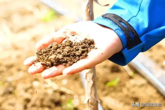 农家肥腐熟是什么意思，农家肥腐熟是化学变化吗（腐熟和未腐熟农家肥有什么区别）