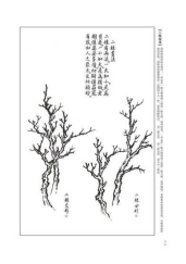 国画入门先学什么，初学国画应先从哪里入手（小白如何学习入门中国画）