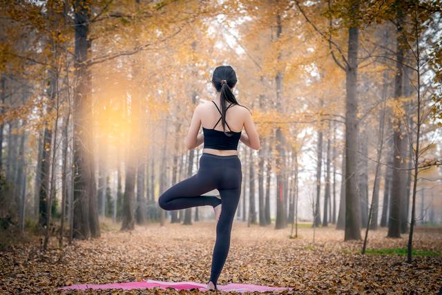 郯城银杏林在哪，郯城银杏林在哪个村（遇见2020年最后一抹秋色）