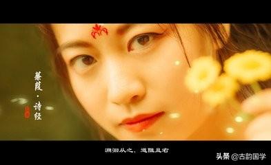 骞怎么读，骞怎么读什么意思（《诗经》中竟有158个成语）