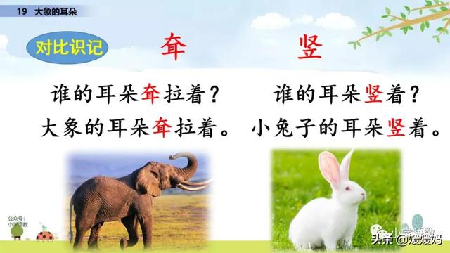 慢慢拼音怎么读，慢慢拼音（二年级下册语文课文19《大象的耳朵》图文详解及同步练习）