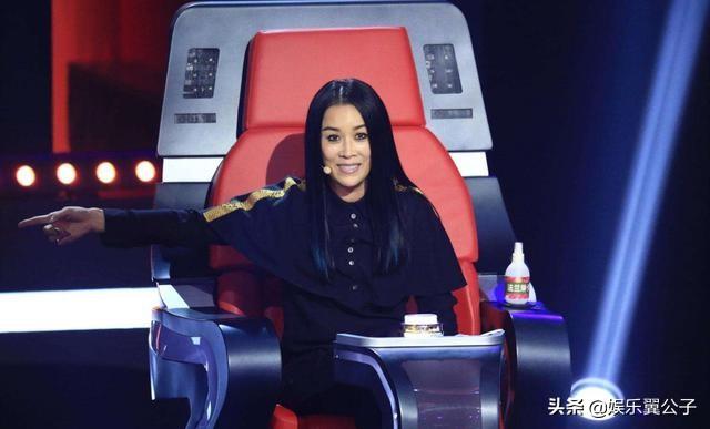 那英个人资料简介，那英个人资料简介及（普通人几百年也未必能买得起）