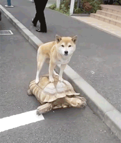 为什么手机充不进去电还越充越少，手机充不上电越冲越少（这怎么电越充越少呢）