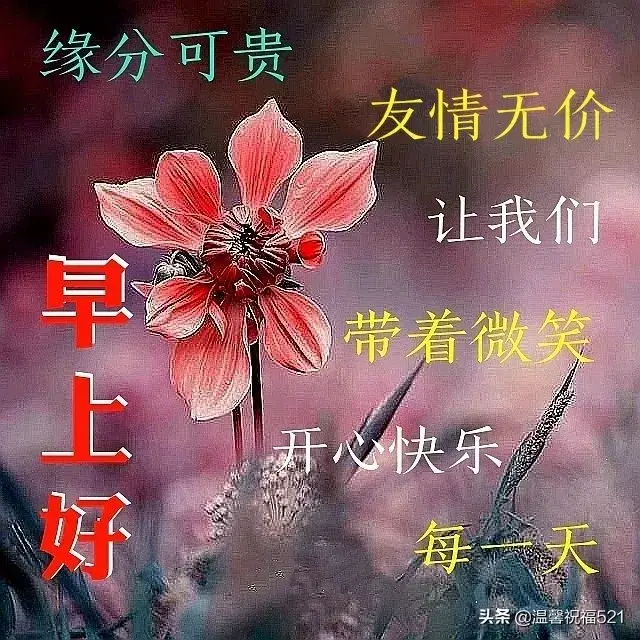 送花祝福语简短，送花简短祝福语（非常精美的鲜花早安动态图片带字带祝福语）