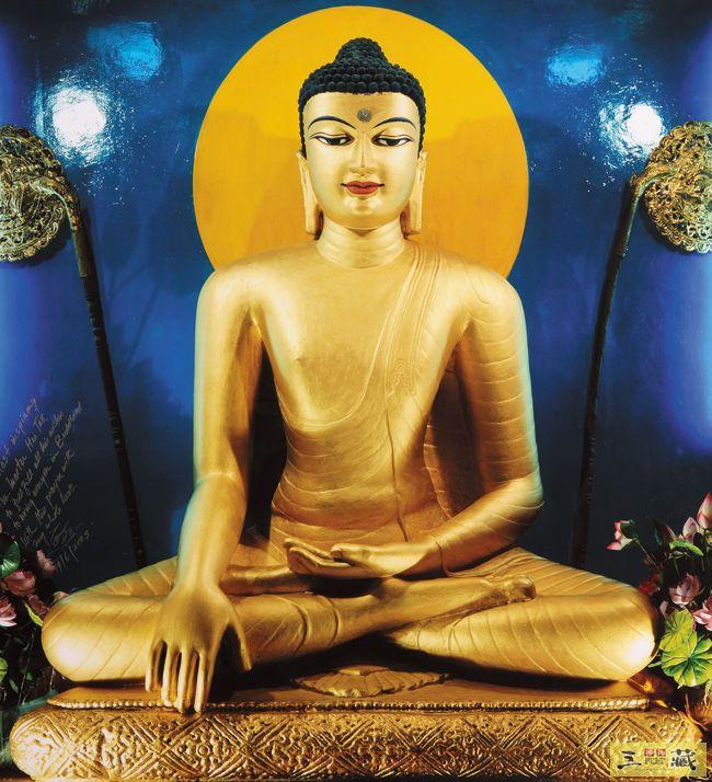 释迦牟尼出生,释迦牟尼佛祖简历 - 玉三网