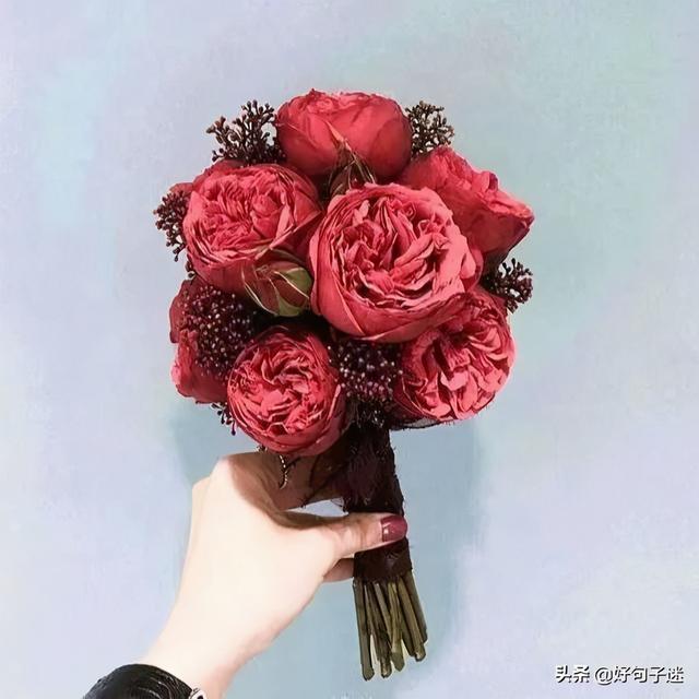 打动人心的爱情句子，打动人心的爱情句子长句（打动人心的爱情句子）