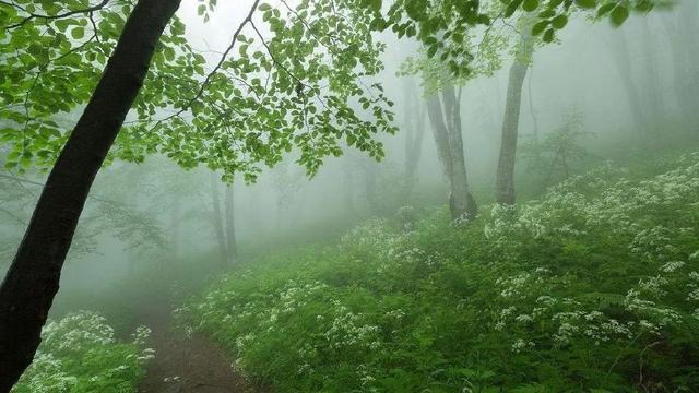 雷雨课文原文，雷雨课文原文（雷雨（二语下第16课《雷雨》课堂实录+笔记+知识梳理+课后练习+答案）