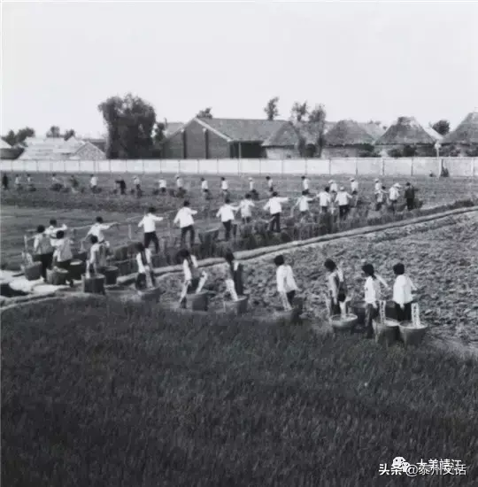 靖江汽车站(靖江拼车群)