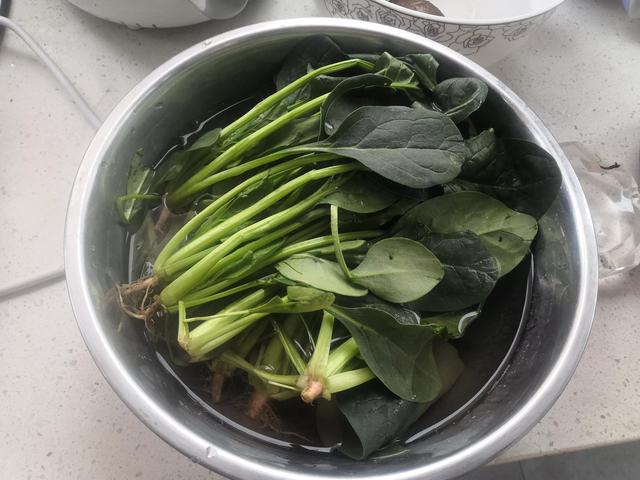 胡萝卜长白须还能吃吗，第一次发现胡萝卜放久了会这个样子