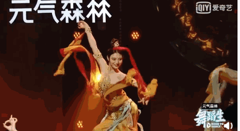 字母站是什么意思，什么叫字母站（王思聪前女友豆得儿经历了什么）