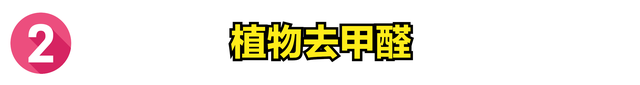 怎么去除甲醛最快方法，甲醛治理10大排名（教你3招快速去除甲醛的方法）