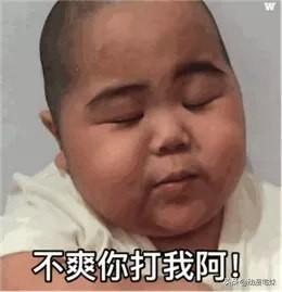 tatan为什么走红，tatan是怎么火的（是碰到这些刁钻难缠的熊娃表情包）