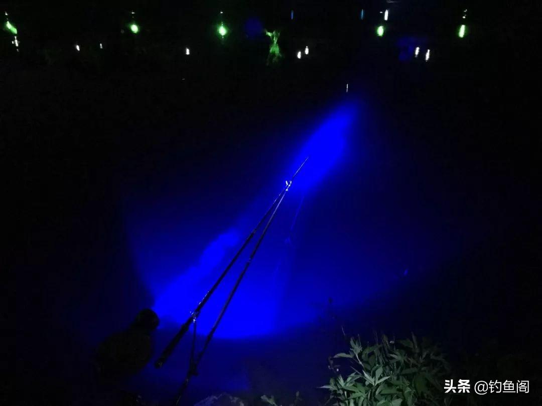 鲤鱼太滑不咬钩？高手调漂实战教学视频，精准诱鱼上钩技巧全解析