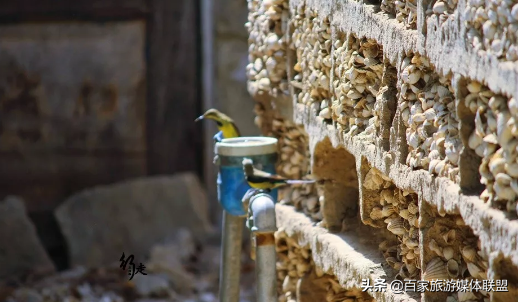 的贝壳填空，什么的贝壳填空（900年用了300万吨贝壳堆起的岛屿）