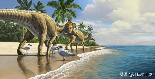 re网名的含义，Re微信昵称（2020古生物学家到底命名了多少种恐龙）