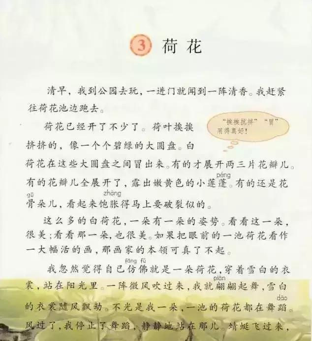 小莲蓬的拼音,的读音是什么(部编版三年级下册 3《荷花》) 小莲蓬的拼音,的读音是什么(部编版三年级下册 3《荷花》)
