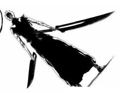 死神日番谷冬狮郎人物志，那些最后获得真正卍解的人物