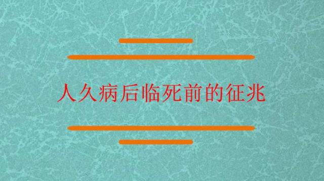 梦见猫扑到自己身上是什么征兆，女人梦见猫扑到自己身上是什么征兆（一旦老人出现这些“征兆”）