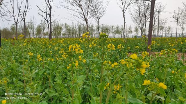 磁县旅游景点大全，磁县网红景点（磁县周边景点）