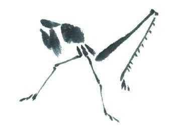 蜻蜓简笔画，蜻蜓简笔画彩色（老艺术家教你几个画法）