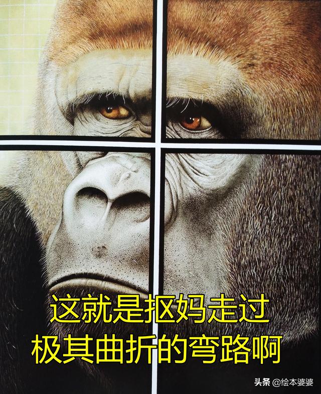 感应调压器原理，感应调压器原理图解（其实只是买错了顺序）