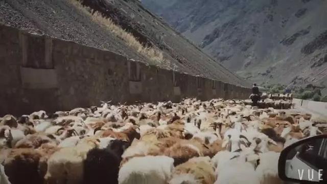 飞常准航班动态实时查询下载，飞常准航班动态实时查询app下载最新版v5.8.0（10000人都在用的旅行达人必备实用APP）