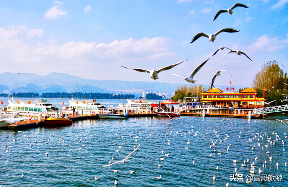 云南旅游景点介绍，云南旅游景点介绍PPT免费下载（自驾游玩如何规划行程路线）