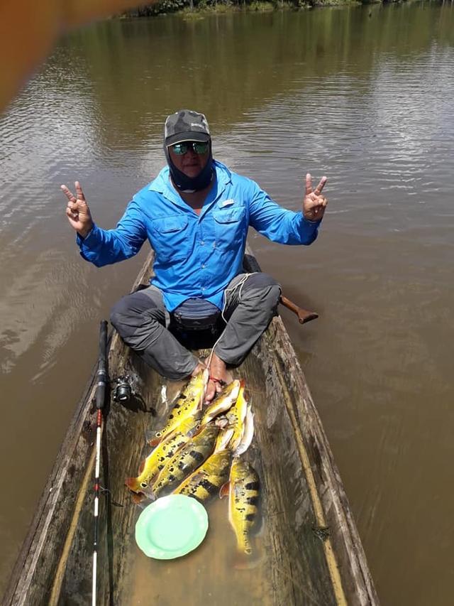 帝王三间和巴西亚鱼有什么区别，巴西亚鱼与皇冠三间鱼有什么区别（也许等不到中国钓鱼人就被消灭光了）