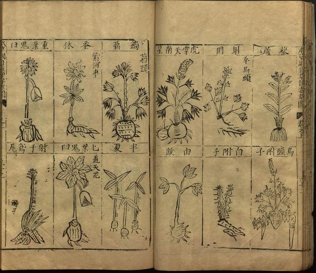 本草纲目全书带图，李时珍本草纲目全书（李时珍著《本草纲目》附图卷）
