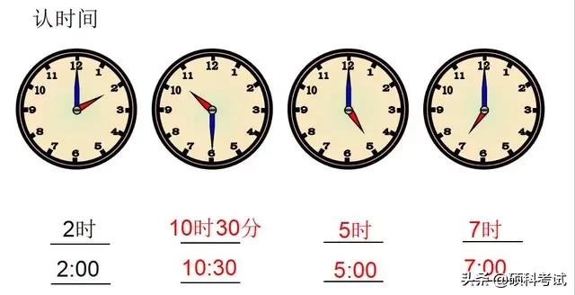 一年级认识钟表，一年级认识钟表知识点总结（一年级数学上册《认识钟表》专项复习）