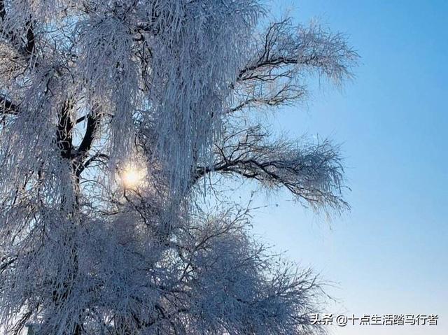 吉林雾凇景色奇特三九严寒，冰天雪地中的美景——吉林雾凇