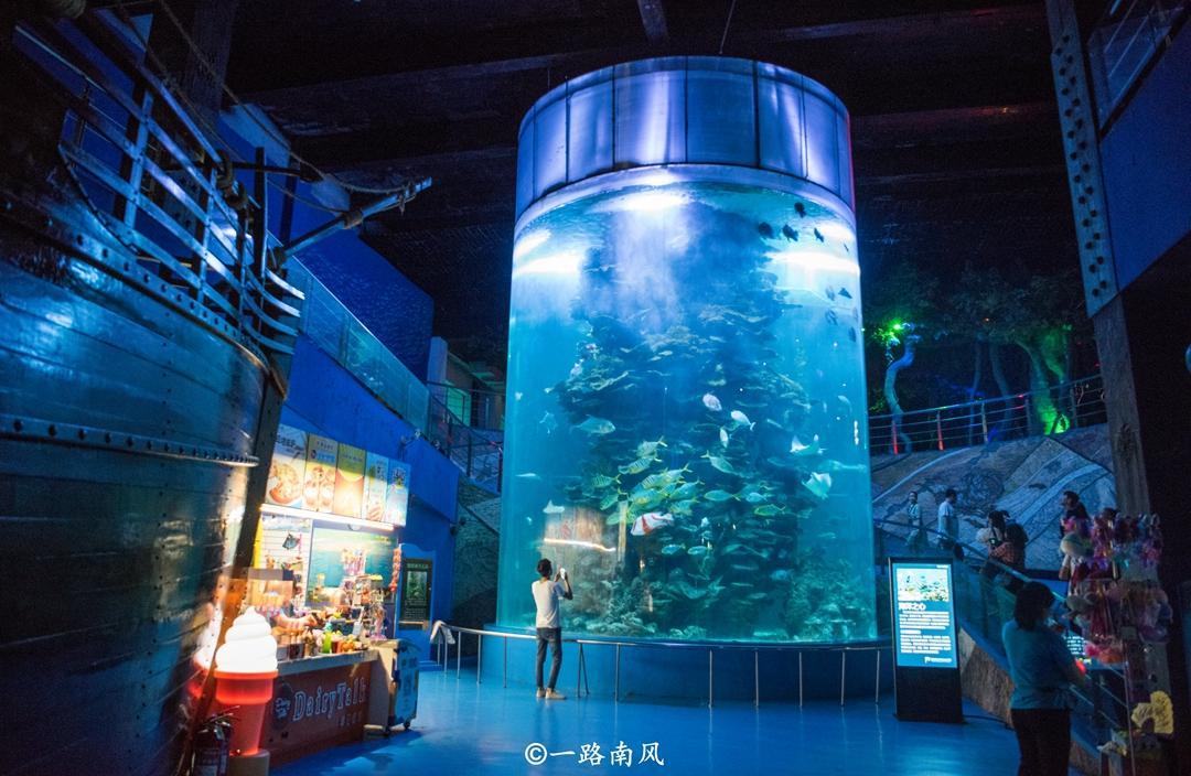 蓬莱好玩的地方(蓬莱旅游)