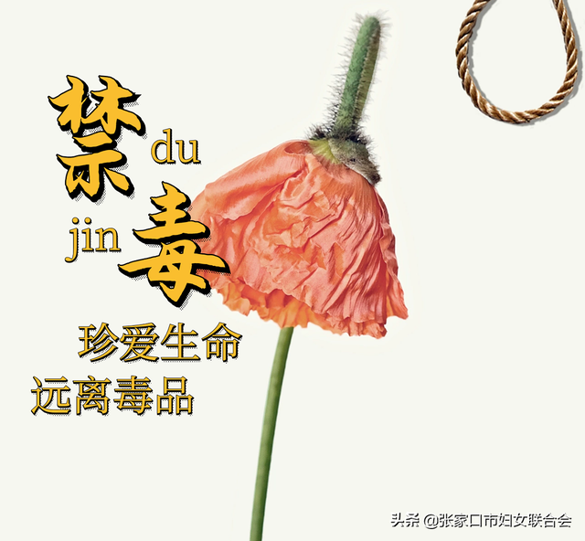 中华人民共和国禁毒法2008年几月实施，禁毒法是2008年几月几日施行的（，“6·1”《禁毒法》颁布实施纪念日）