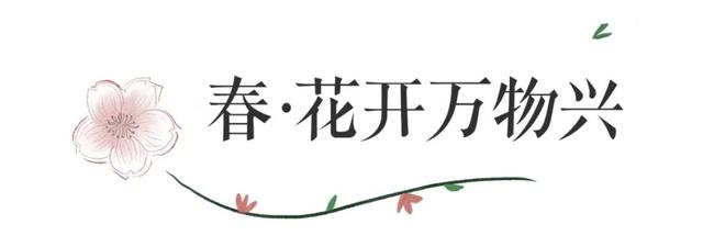 山东师范大学2021级本科新生大数据，厦门潍坊人数遥遥领先（山东师范大学2021年本科录取通知书正式发布）