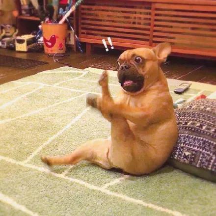 搞怪女头，微信头像，搞怪女头（没有什么困难是战胜不了我的）