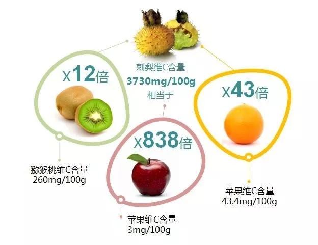 刺梨子的功效与作用，刺梨原来是这么“厉害”的东西