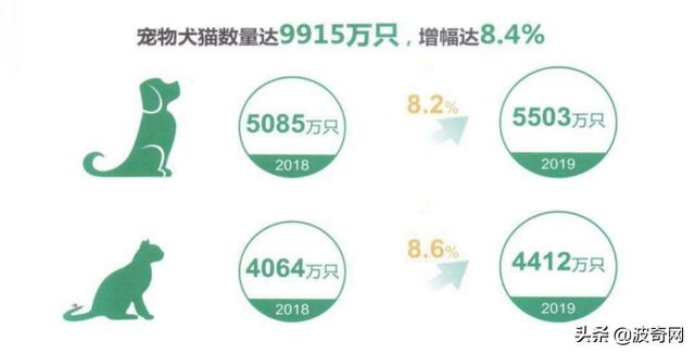 宠物婚介，从官园到闲鱼的“它相亲”蓬勃发展的细分市场