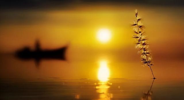 怀念过去的诗句，十首回忆诗词（感慨岁月催人老的古诗词）