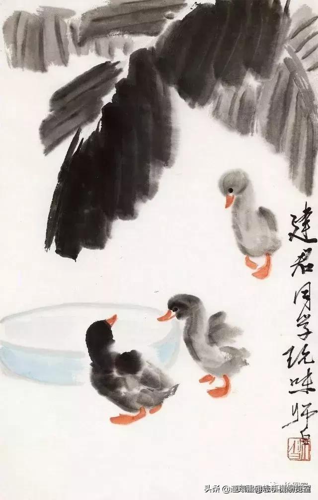 怎么画鸭子,今天星期二考试考个鸭蛋怎么画鸭子(娄师白教你画鸭子) 怎么画鸭子,今天星期二考试考个鸭蛋怎么画鸭子(娄师白教你画鸭子)
