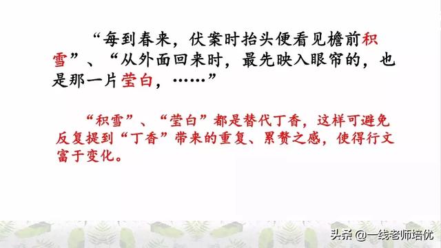 平淡无味的意思，清淡无味的意思（部编版六年级上册第2课《丁香结》重点知识点+图文解读）