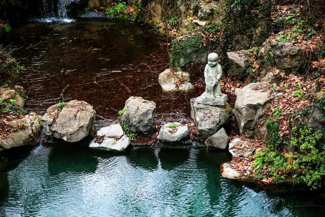 热爱家乡的名言，关于热爱家乡热爱祖国的名言（20句思乡心切的诗词）