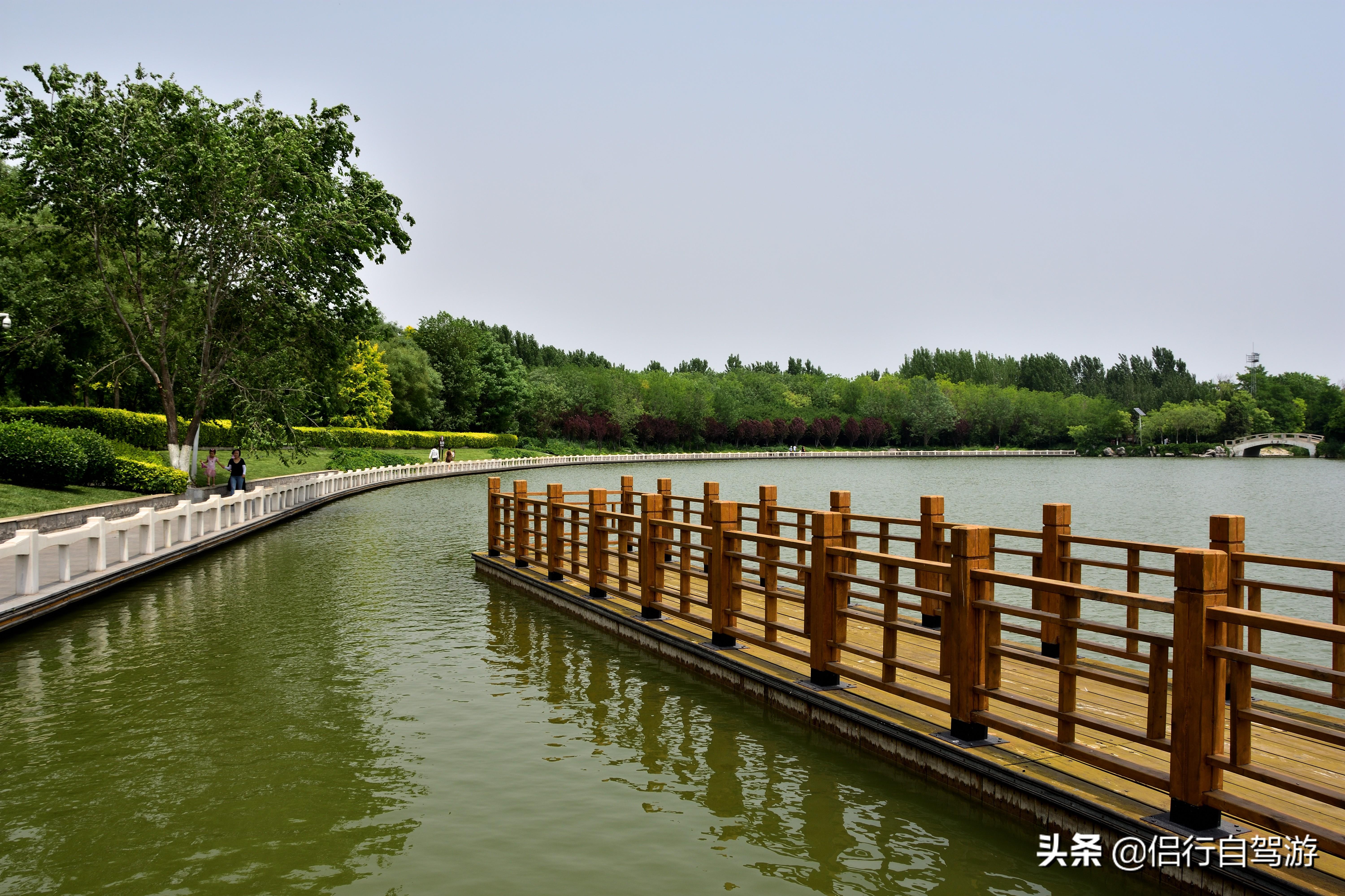 塘沽森林公园散步观景—国家海洋博物馆了解海洋文化—滨海妈祖文化园