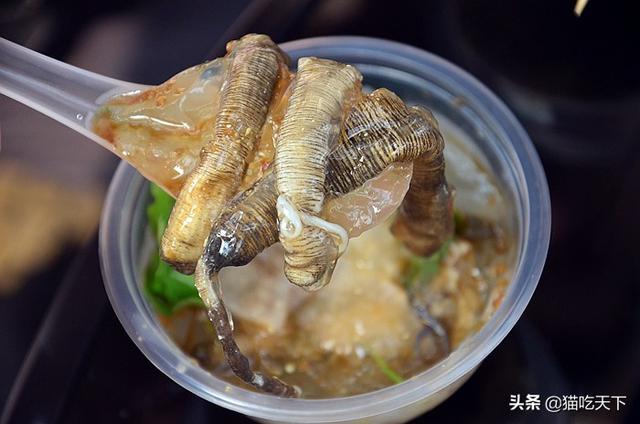 厦门一日游攻略自由行，厦门一日攻略（带你领略不一样的厦门）