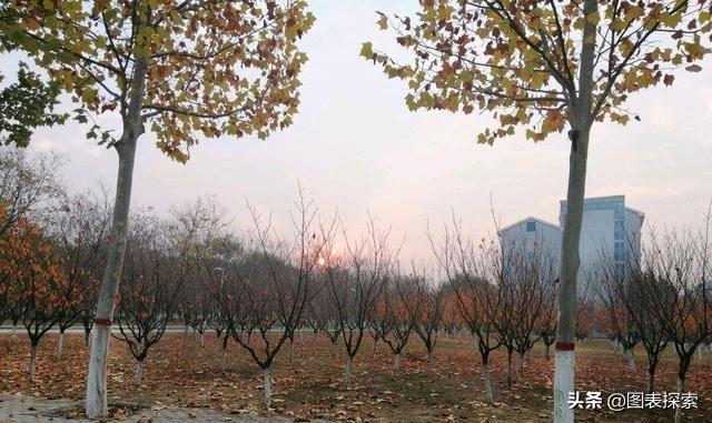 漯河有几所大学，河南漯河有几个大学（全国高职第19的漯河医专冲刺漯河医学院）