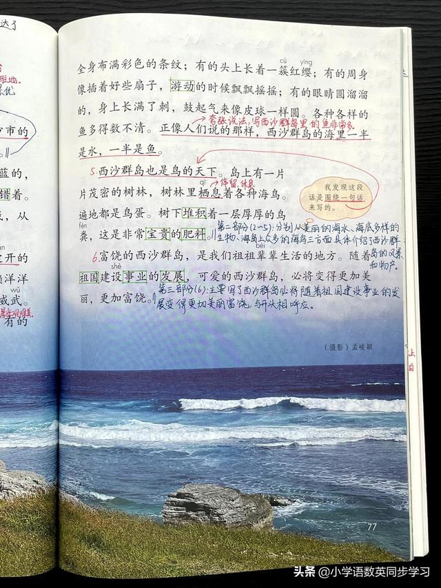 饶怎么读，铙怎么读什么意思（小学语文三年级上册第18课《富饶的西沙群岛》教师笔记）