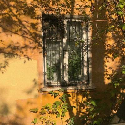 听凉秋风紧网名，听凉秋风紧微信昵称（诗意有感觉的唯美网名柔柔弱弱-可爱点）